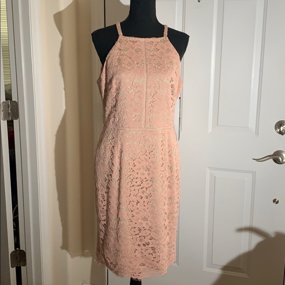 Vince Camuto Sleeveless Lace Sheath Dress